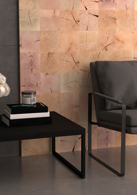 Nature-Systems-Decorative-Surfaces-Brochure-web-9-450x640-1